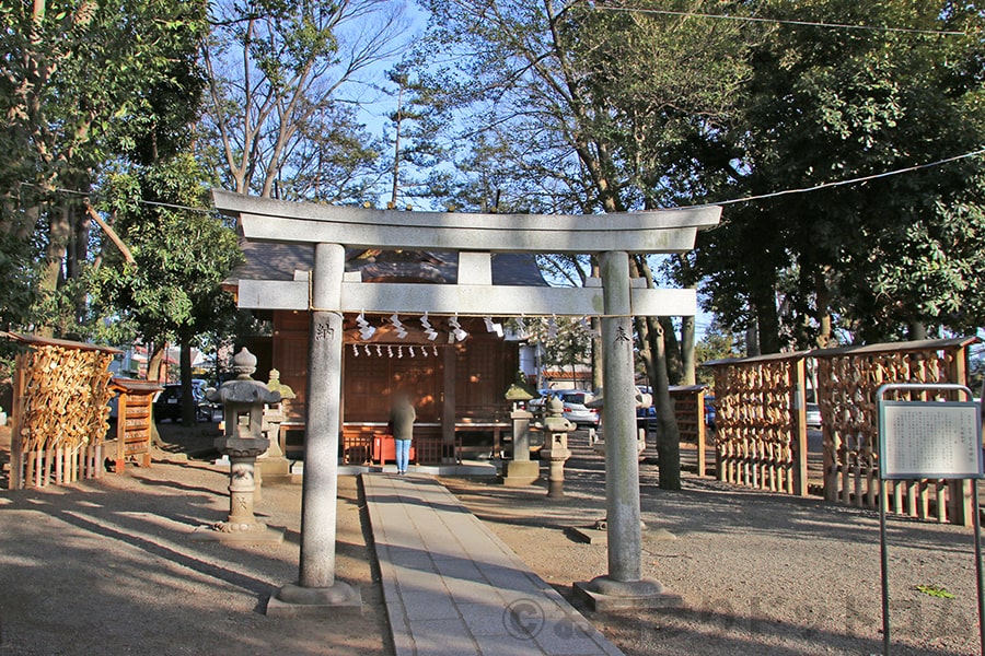 大國魂神社 宮乃咩神社の様子