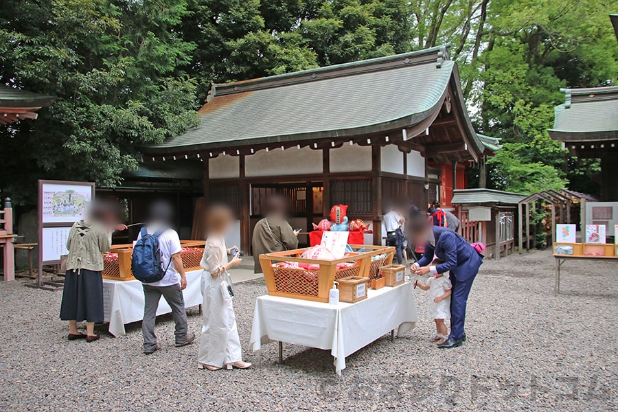 川越氷川神社 拝殿手前にある様々なおみくじの様子（その1）