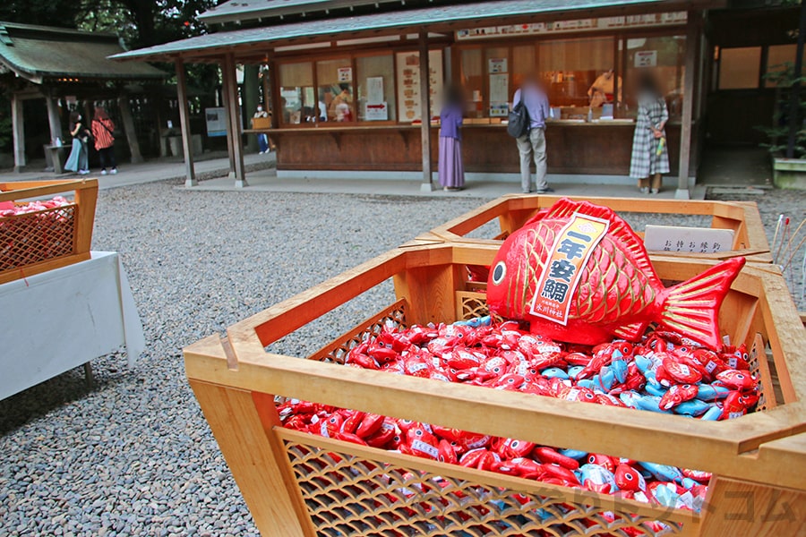 川越氷川神社 拝殿手前にある様々なおみくじの様子（その2）