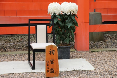 お宮参り 神社境内 お宮参り（初宮参り）撮影用セットの様子