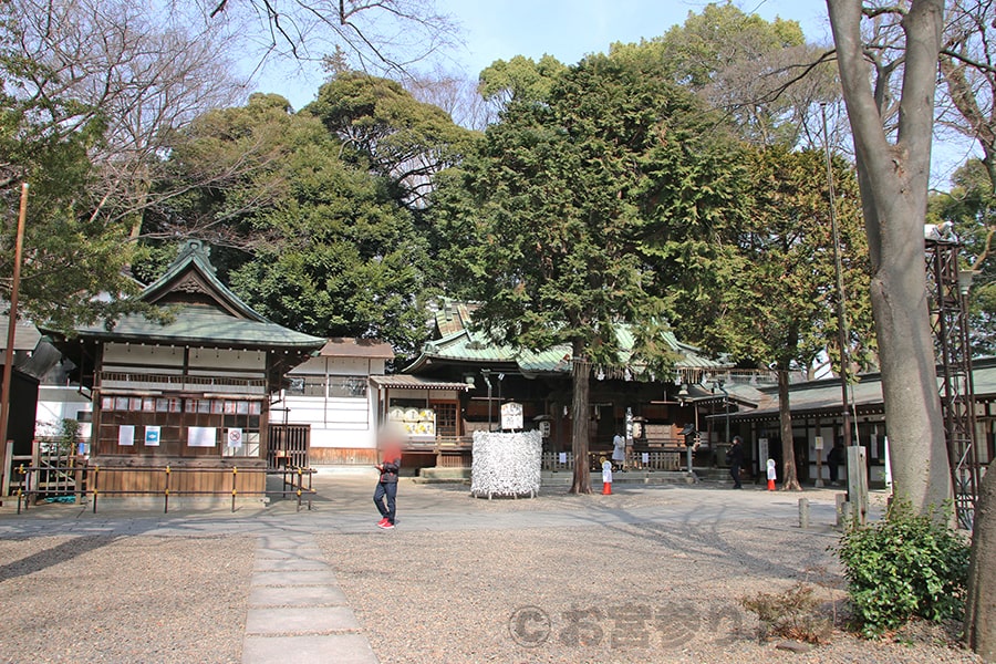 調神社 境内全体の様子